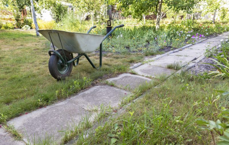  wheelbarrow in backyard